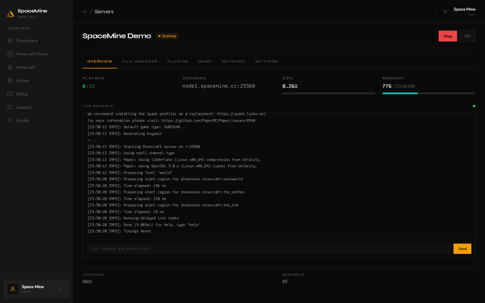 Live server console with real-time logs and command input